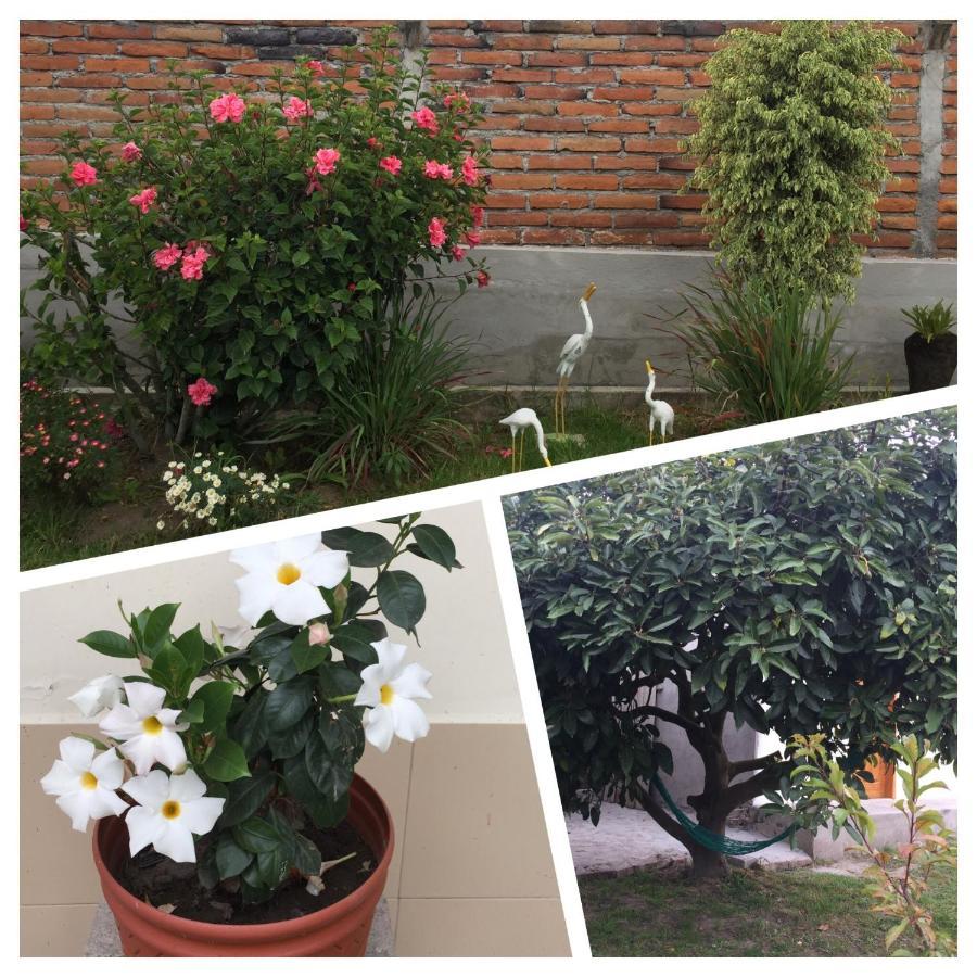 Tababela Airport B&B Zewnętrze zdjęcie